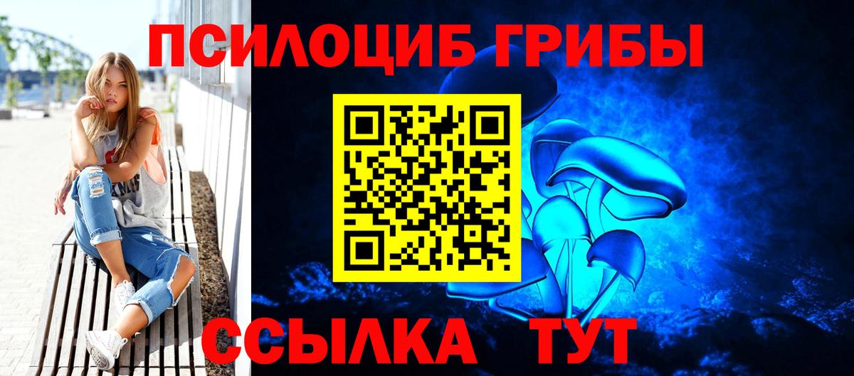 Калач-на-Дону  Псилоцибиновые грибы Psilocybe  Вход с VPN 